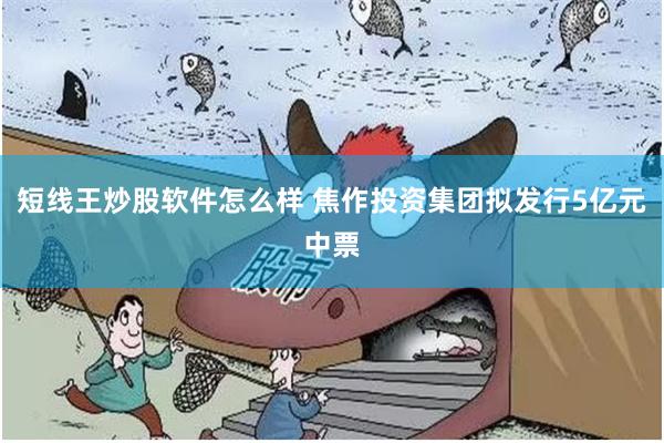 短线王炒股软件怎么样 焦作投资集团拟发行5亿元中票